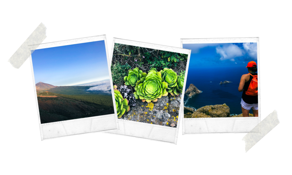 postcards of nature in Spain