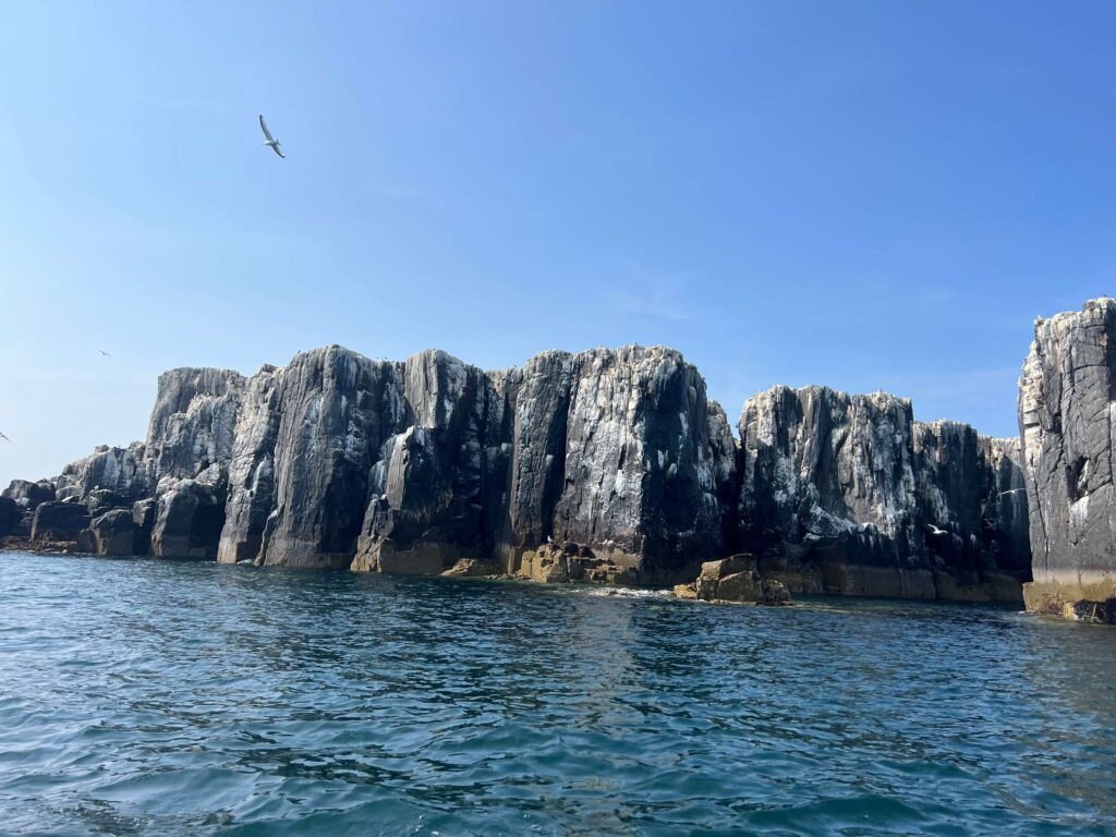 Farne Islands, Northumberland Coast