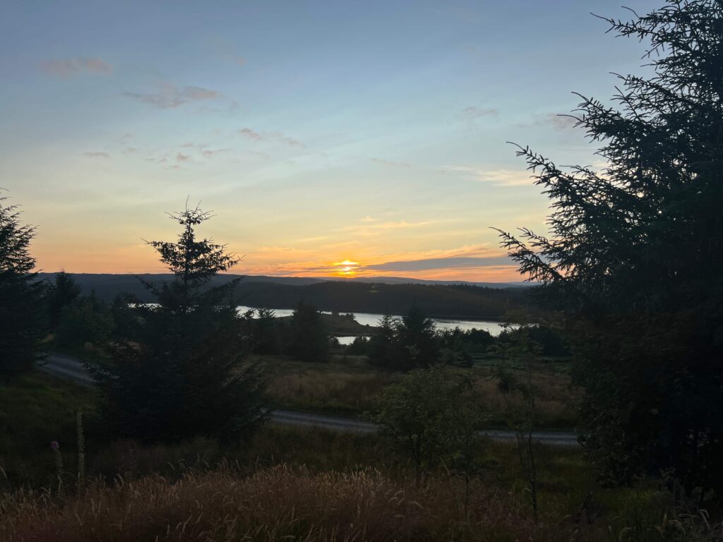 Kielder Forest